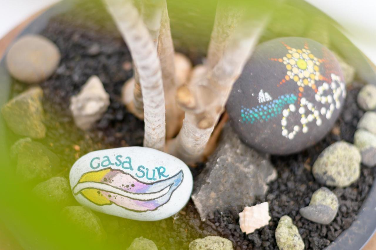 Casa Sur, Conil 빌라 외부 사진